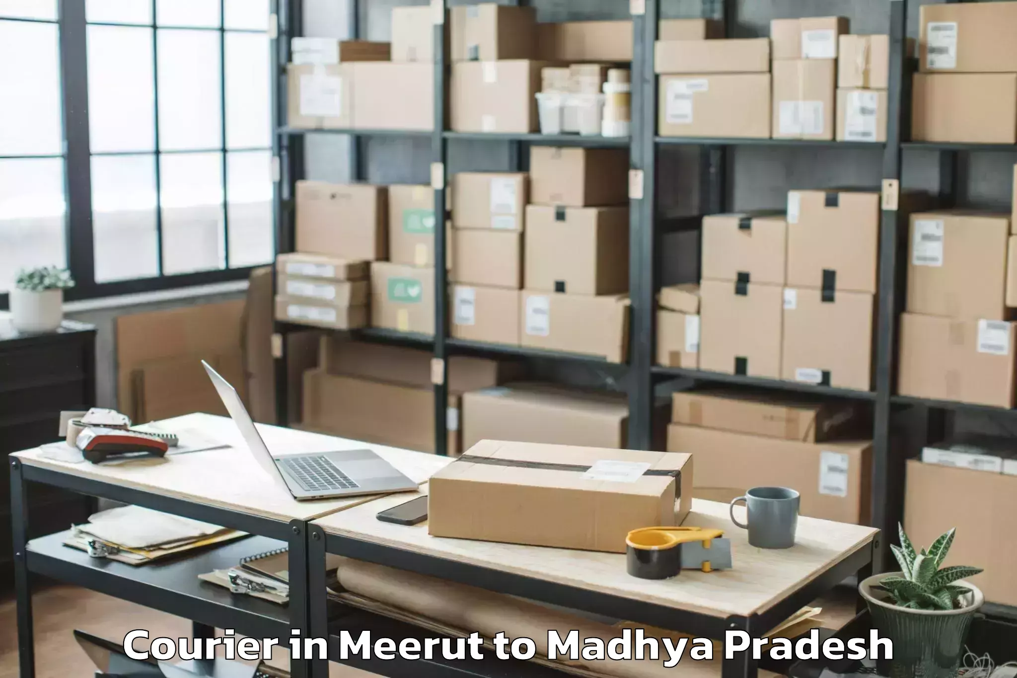 Get Meerut to Rewa Airport Rew Courier